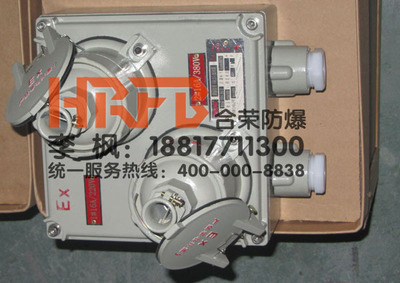 BCX51系列防爆配電箱 專業(yè)照明動力解決方案與廠家直銷優(yōu)勢